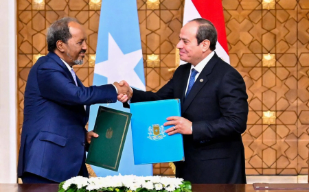 دول عربية واسلامية تدين اعتراف اسرائيل باقليم أرض الصومال الانفصالي