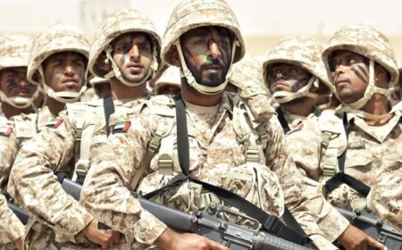 الصحافة الفرنسية تُسلّط الضوء على الدور الإيجابي للإمارات في اليمن