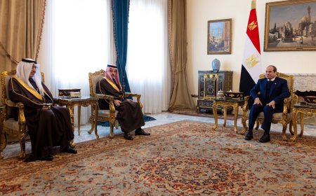 السيسي يستقبل وزير الخارجية السعودي