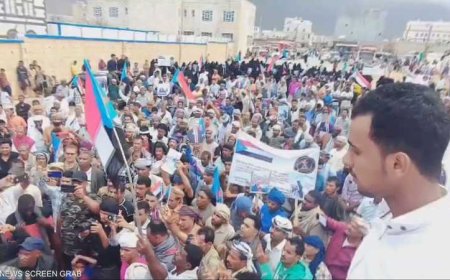 مسؤول بالانتقالي: فصائل جنوب اليمن لن تعمل تحت إمرة التحالف