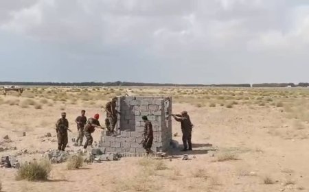 بعد أن أُشيع توقف وحدة حماية الأراضي عن أداء مهامها.. بسط عشوائي يطال أرض المطار المستقبلي في بئر أحمد 