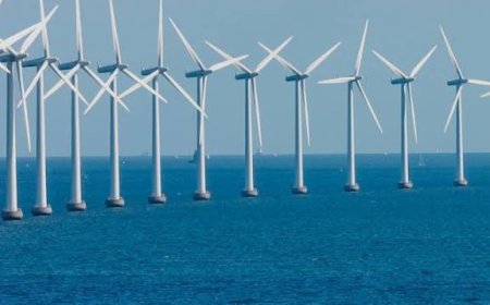 قاضٍ فيدرالي يسمح باستئناف مشروع لطاقة الرياح البحرية في فرجينيا بعد إيقافه بقرار من إدارة ترامب