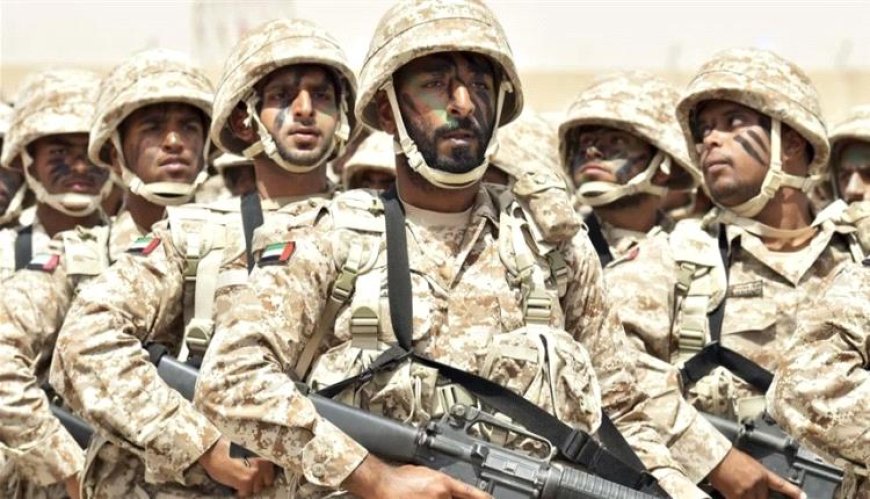 الصحافة الفرنسية تُسلّط الضوء على الدور الإيجابي للإمارات في اليمن