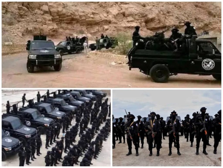 كيف تهدد الترتيبات المتسرعة جهود مكافحة الإرهاب؟.. مخاطر الفراغ الامني.. حضرموت والمهرة