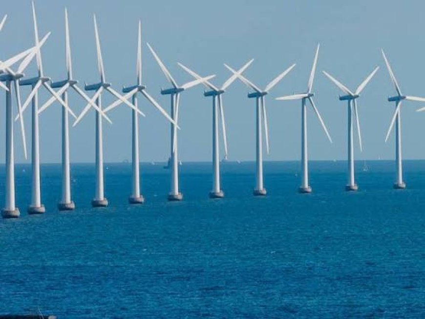 قاضٍ فيدرالي يسمح باستئناف مشروع لطاقة الرياح البحرية في فرجينيا بعد إيقافه بقرار من إدارة ترامب