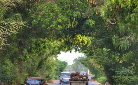 بين نزيف الخنادق وجفاء الفنادق ..أبين والبحث عن الإنصاف.