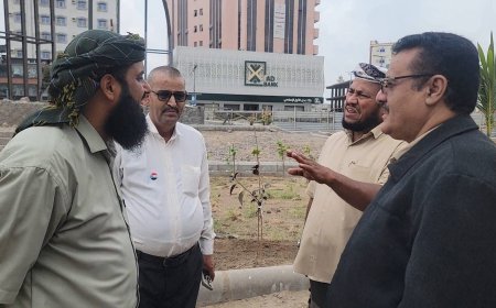 مدير عام المنصورة يتفقد مستوى إنجاز مشروع “إنشاء متنفس مثلث دوار السفينة”