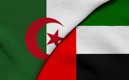الجزائر تبدأ إجراءات إلغاء اتفاقية النقل الجوي مع الإمارات وسط توترات سياسية
