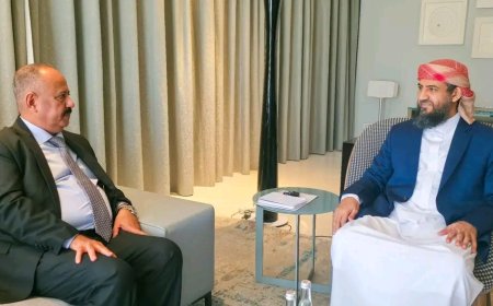 المحرّمي يلتقي وزير النقل ويؤكد أهمية تطوير القطاع وتعزيز كفاءته