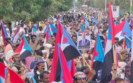 احتشاد مليوني في زنجبار يؤكد الثبات والوفاء ويجدد التفويض للمجلس الانتقالي بقيادة الرئيس الزُبيدي (بيان)