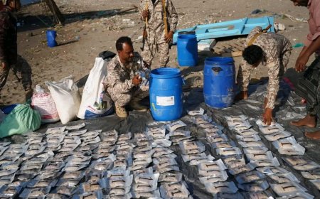 الحملة الأمنية لقوات العمالقة الجنوبية تضبط كمية كبيرة من المخدرات على متن قارب بالقرب من باب المندب