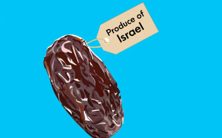 حملة مقاطعة في فرنسا لتمور إسرائيلية تُسوّق بأسماء مزيفة