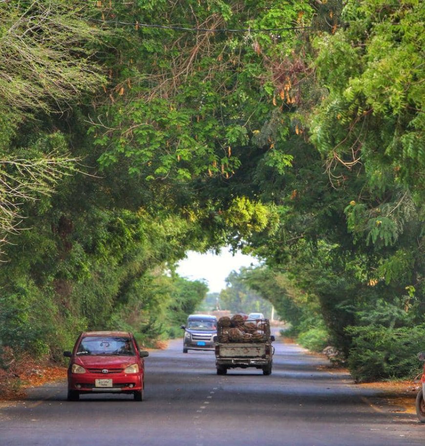 بين نزيف الخنادق وجفاء الفنادق ..أبين والبحث عن الإنصاف.