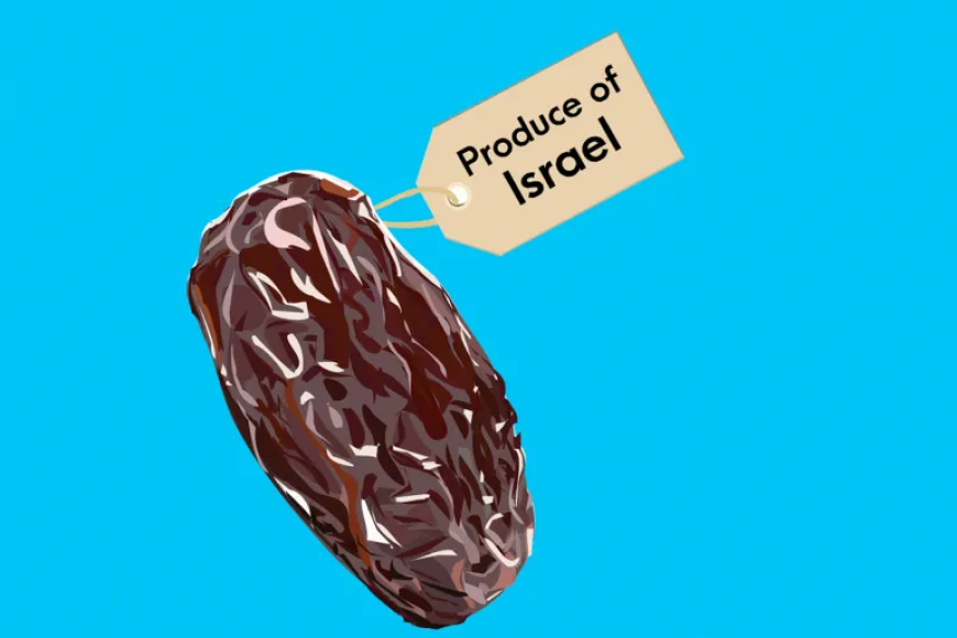 حملة مقاطعة في فرنسا لتمور إسرائيلية تُسوّق بأسماء مزيفة