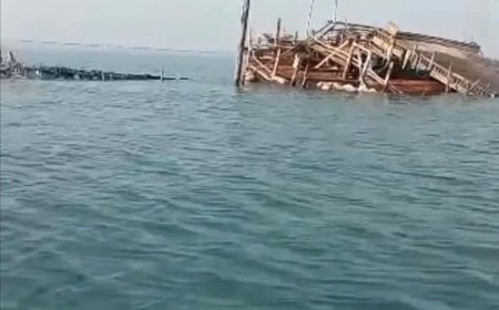 حادث بحري قبالة باب المندب.. انقلاب وغرق زعيمة محملة بمئات الأبقار والأغنام قرب سواحل لحج