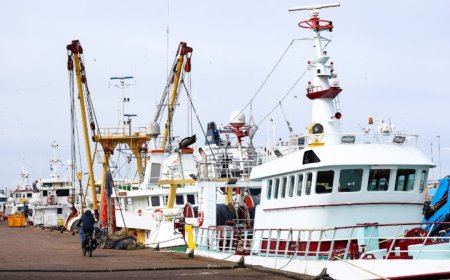 قطاع الصيد الهولندي: نصف الأسطول خارج الخدمة وتكاليف التشغيل تلتهم الأرباح