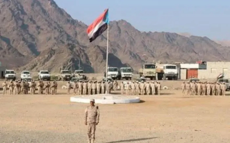 لواء بارشيد بين سجل البطولات وتداعيات الإقصاء بعد تغيير القيادة.