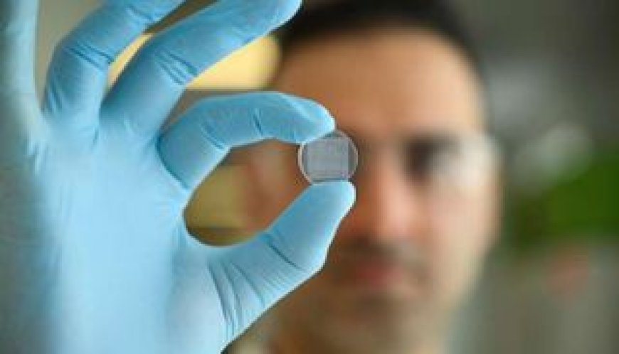 رقعة ذكية لمراقبة الجهاز المناعي مباشرة من الجلد