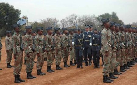 ترحيب حذر.. العصابات تستقبل الجنود في كيب فلاتس